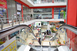 崇明区门窗代理品牌店，解读当地市场现状与发展趋势