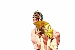 探索清汉服—传统与时尚的完美融合