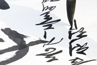 硬笔书法培训哪家强？一文揭秘热门品牌及学员案例