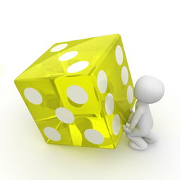 玩具品牌提案，创新、品质与乐趣的完美结合