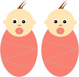 德国双胞胎兄弟玩具品牌，品质、创新与童年的最佳伙伴