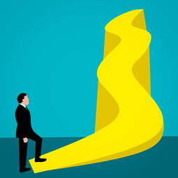 揭秘倒卖品牌玩具背后的故事，风险、挑战与案例剖析