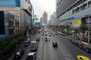 一二线城市内衣品牌市场现状及趋势分析