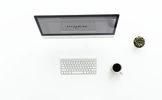 盘点那些价格实惠又好用的无线鼠标品牌，办公娱乐两不误！
