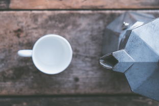 茶叶储存新篇章，茶叶储存罐品牌深度解析