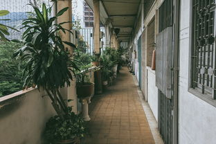 永州节能门窗品牌直销店，绿色生活的首选之地