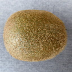 全球著名卫生纸品牌大解析