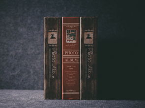 全球著名卫生纸品牌大解析