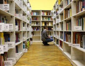 鸡西学校地板品牌选择指南