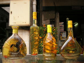 中华老字号白酒品牌，历史传承与现代风采的融合