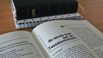轻松掌握，教你如何确认电脑品牌和型号