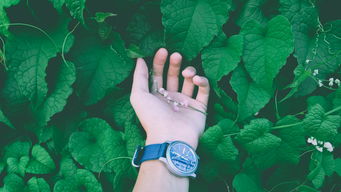 绿色旗袍品牌推荐—引领时尚与环保的完美结合