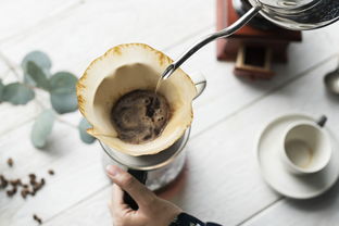 南京新鲜奶茶加盟品牌的魅力与前景分析
