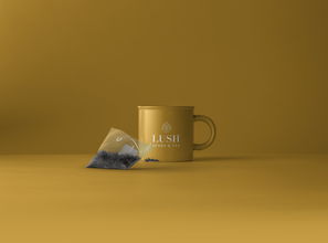 轻奢陶瓷杯子，高颜值与品质并存的时尚品牌推荐