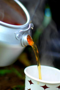 漱口水杯大比拼，这些品牌让你口腔清洁更轻松！