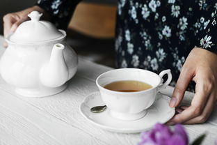 细水杯品牌，一杯一世界，品味生活新境界