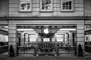 中国五十家奶茶店品牌深度解析