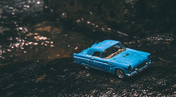 专注品牌童车，山东购买指南
