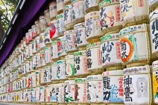 日本零蔗糖零食品牌