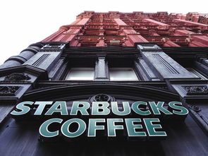 国外最好喝的奶茶店品牌大盘点