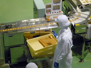 多线切割机厂家品牌大全