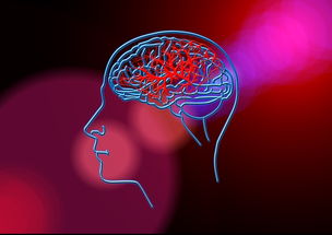 揭秘水晶手链的奥秘—从科学到艺术